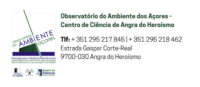 Inauguração da exposição Oásis de Nuno Sá